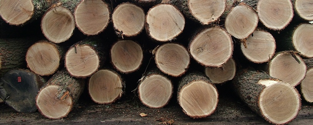 Tarcica - TomDrew Rzesz&oacute;w