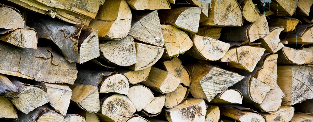 Drewno - TomDrew &Lstrok;a&nacute;cut